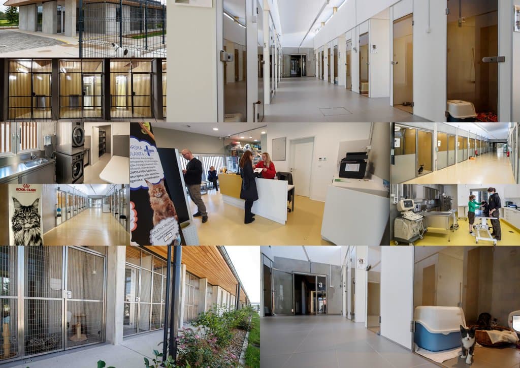 Sprejete prve smernice in strokovni standardi za zavetišče