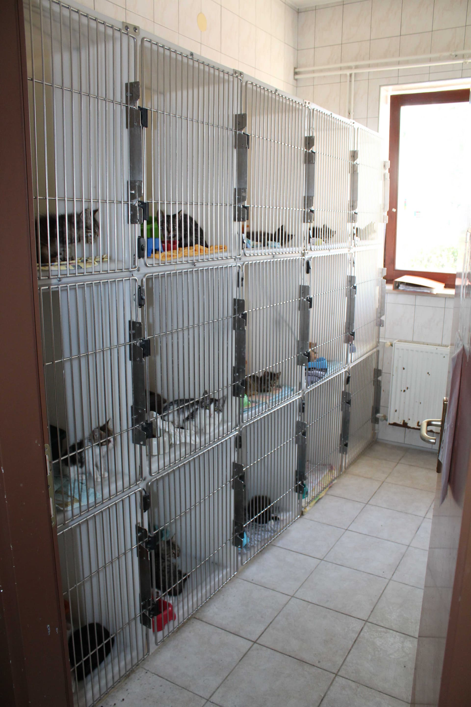 Nabava petnajstih premičnih bivalnih enot za sesne mačje mladiče