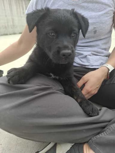 Nora