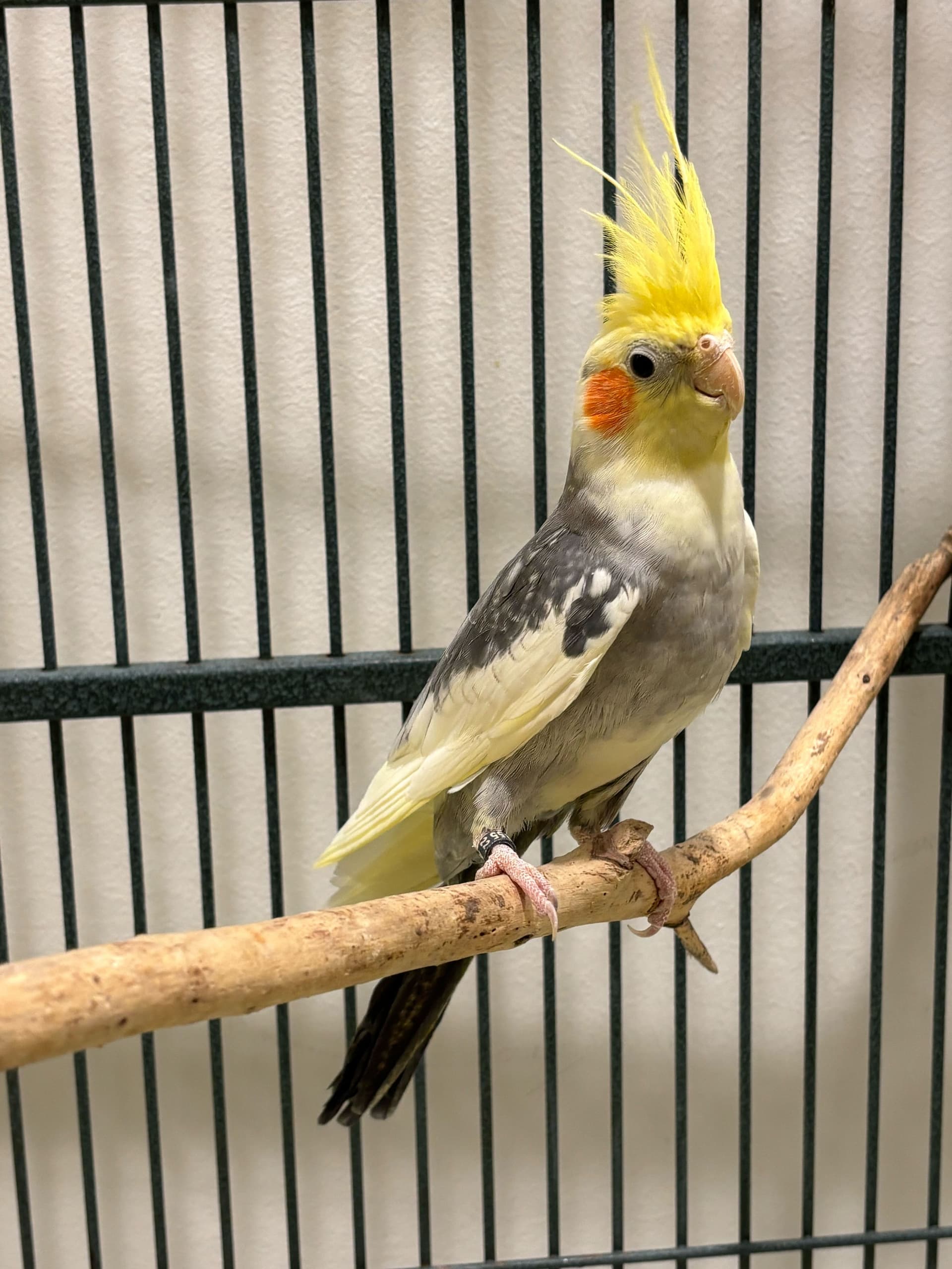 John