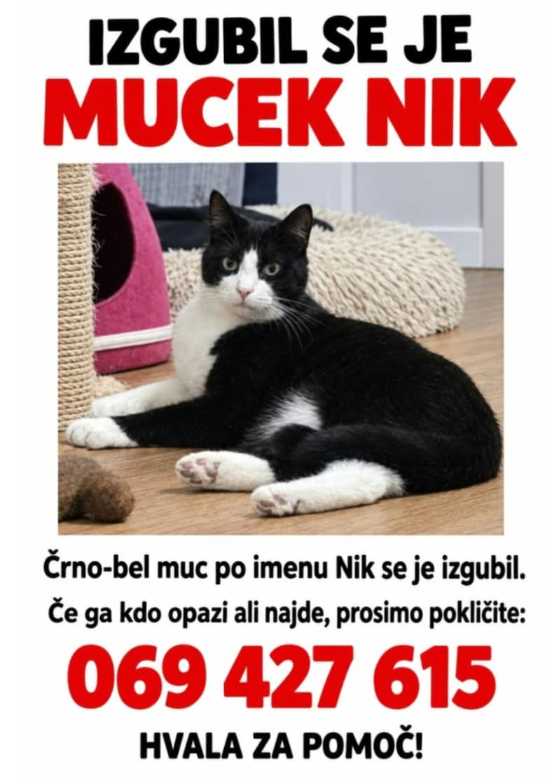 Mačka Izgubljen muc Niki
